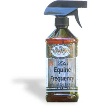 Elite's Equine-Essential Oil Liniments