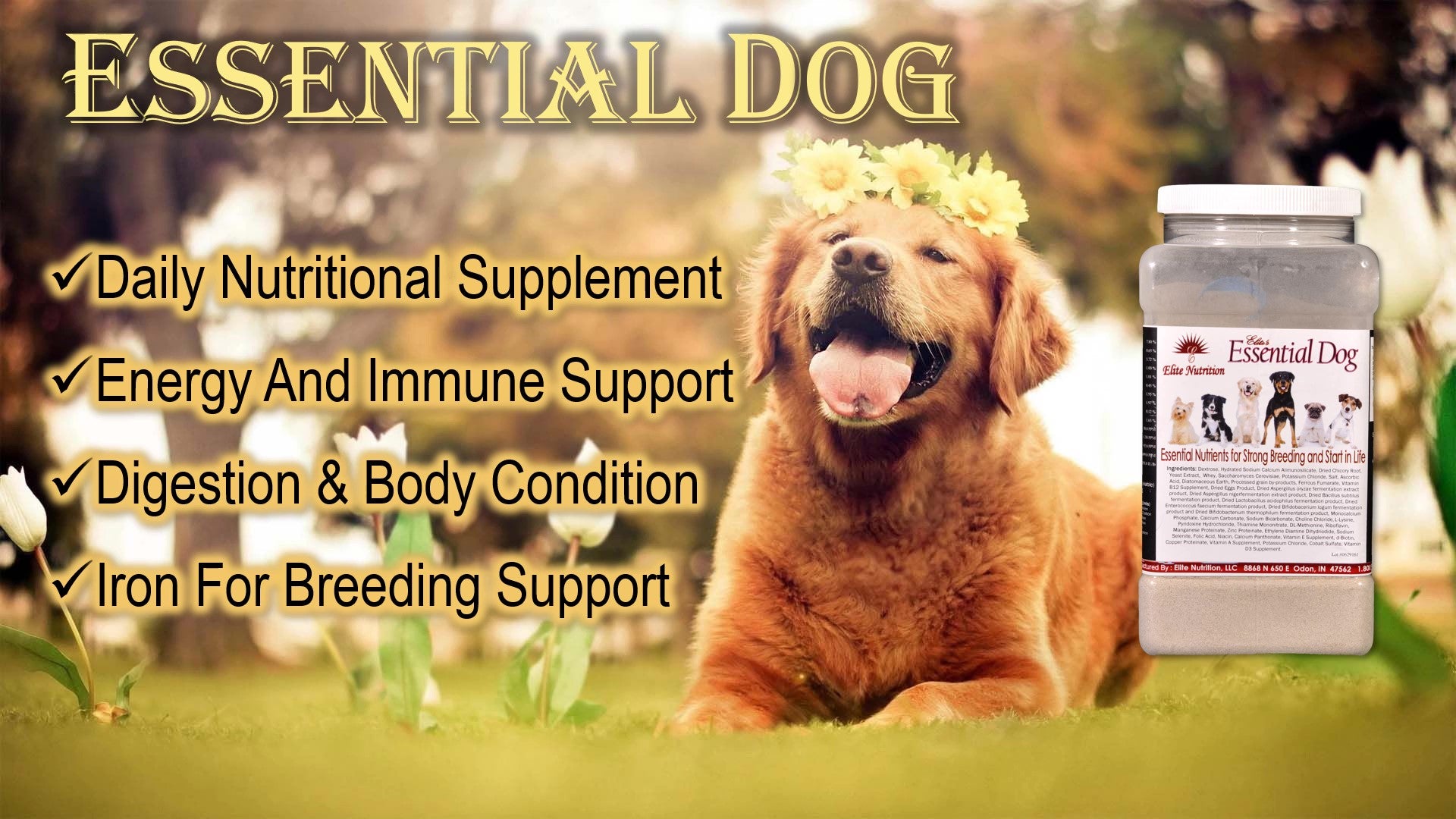 ESSENTIAL DOG -Canine Daily Nutritional & Immune Support