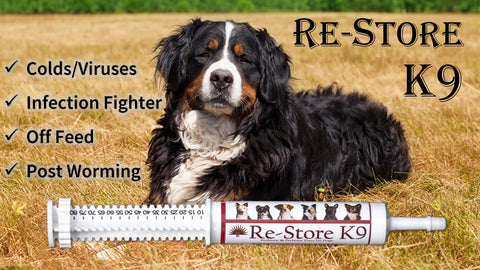 RE-STORE K9 - Canine Immune & Digestion System Reset Aid