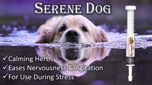 SERENE DOG -Canine Paste Blend to Aid in Calming Gut and Nervous Dog